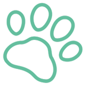 donelson animal hospital donelson animal hospital