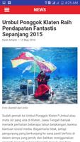 Phinemo penulis hantaran