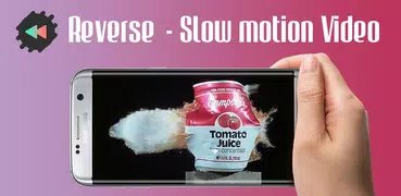 Reverse Video - Reverse Camera