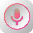 voice recorder APK
