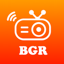 Radio Online Bulgaria APK