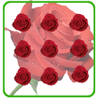 Pattern Lock Theme Red Rose icône