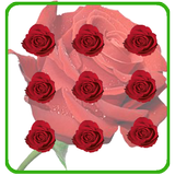 Pattern Lock Theme Red Rose أيقونة