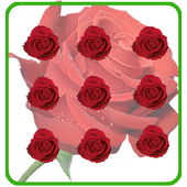 Pattern Lock Theme Red Rose icon