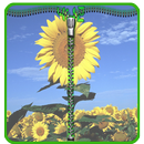 Zipper Screen Lock:Sunflower APK