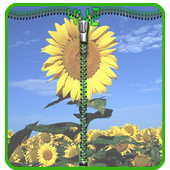 Zipper Screen Lock:Sunflower icon