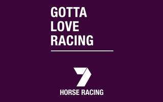 7 Horse Racing plakat