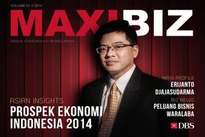 Maxibiz Plakat