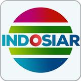 tv indonesia - Indosiar  TV icône