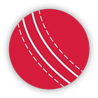 Live Cricket Scores - Lite আইকন