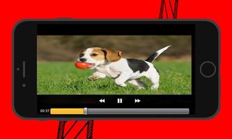 All Audio Video Player HD capture d'écran 1