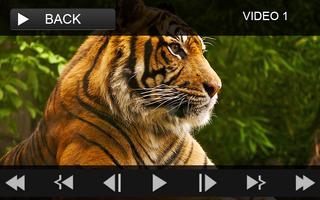Ultra HD Video Player screenshot 2