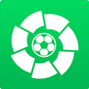 La Liga Virtual Arena APK