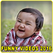 Funny Videos 2016