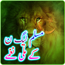 PML-N Video Songs APK