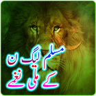 PML-N Video Songs-icoon