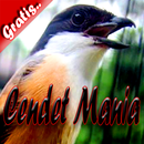 Cendet Mania APK