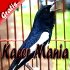 Kacer Mania أيقونة