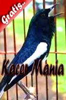 Kacer Mania Affiche