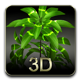 我的3D植物