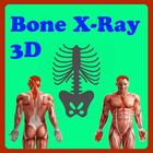 Bone with X-Ray icône