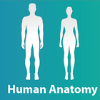 Human Anatomy and Physiology biểu tượng