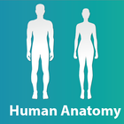 Human Anatomy and Physiology icon