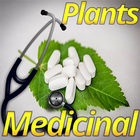 Medicinal Plants icône