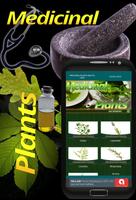 Medicinal Plants Affiche