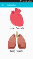 Auscultation ( Heart & Lung Sounds) पोस्टर