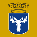Möten Östersund APK
