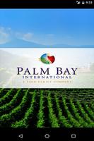 Palm Bay International HQ Affiche