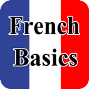 Learn French Basics Language APK