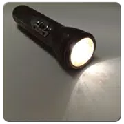 FlashLight Shortcut