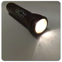 FlashLight Shortcut