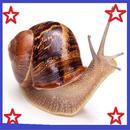 Snail Space 3D APK