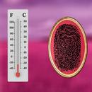 Temperatura Teste Prank APK