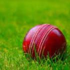 Cricket Line Prediction আইকন