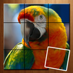 Tile Puzzle - Animal Picture