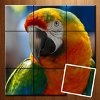 Tile Puzzle - Animal Picture アイコン