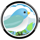 Spring Collection Watch Face icono