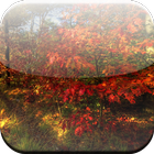 Autumn Forest 3D icône