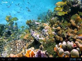 Sea Corals And Fish Wallpaper capture d'écran 2
