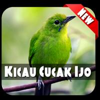 Master Kicau Cucak Ijo screenshot 1