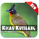 Kicau Master Kutilang Juara أيقونة