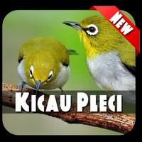 Master Kicau Pleci Lengkap 스크린샷 1