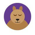 fall asleep for adults free