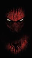 Poster Best Spiderman Wallpaper