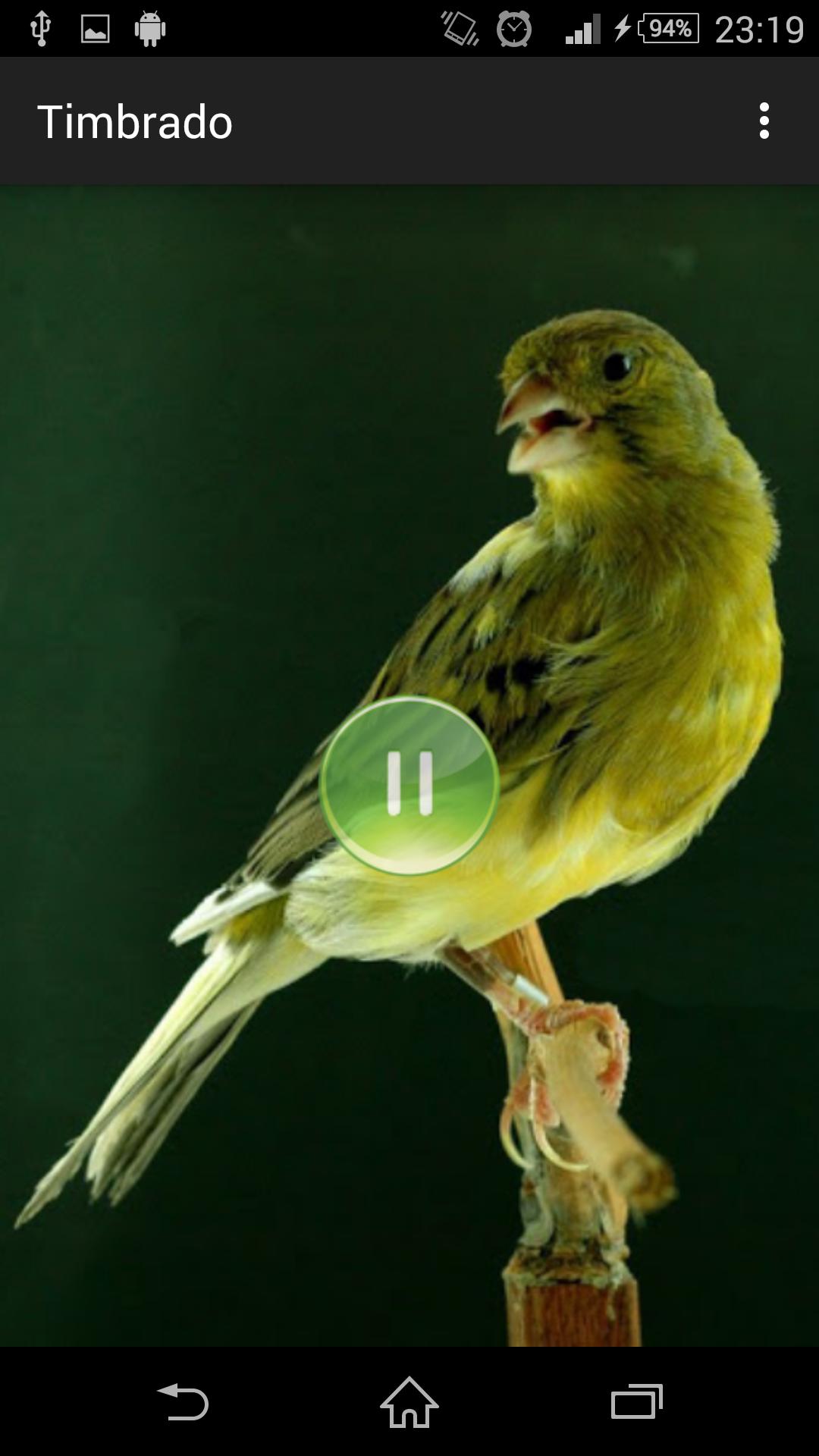 TÉLÉCHARGER CHANT CANARI TIMBRADO GRATUIT CANARI TÉLÉCHARGER TIMBRADO GRATUIT CHANT