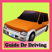 Guides Dr. Driving
